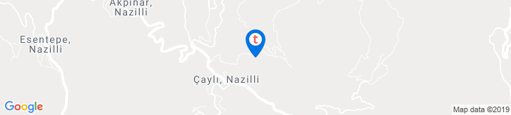 Aydın Nazilli Çaylı Mahallesinde 6755 m2 Tarla