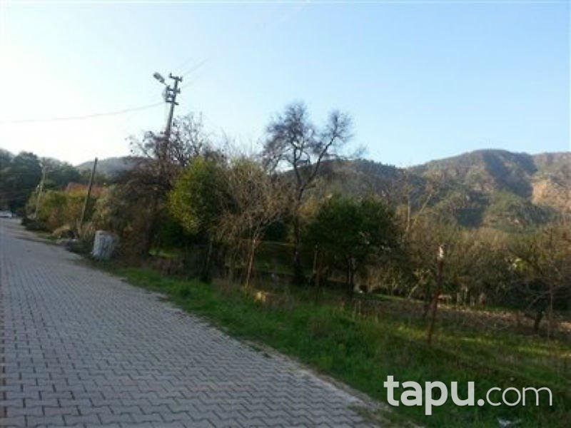 Muğla Köyceğiz'de 2 Dönüm Arsa İçinde Taş Ev