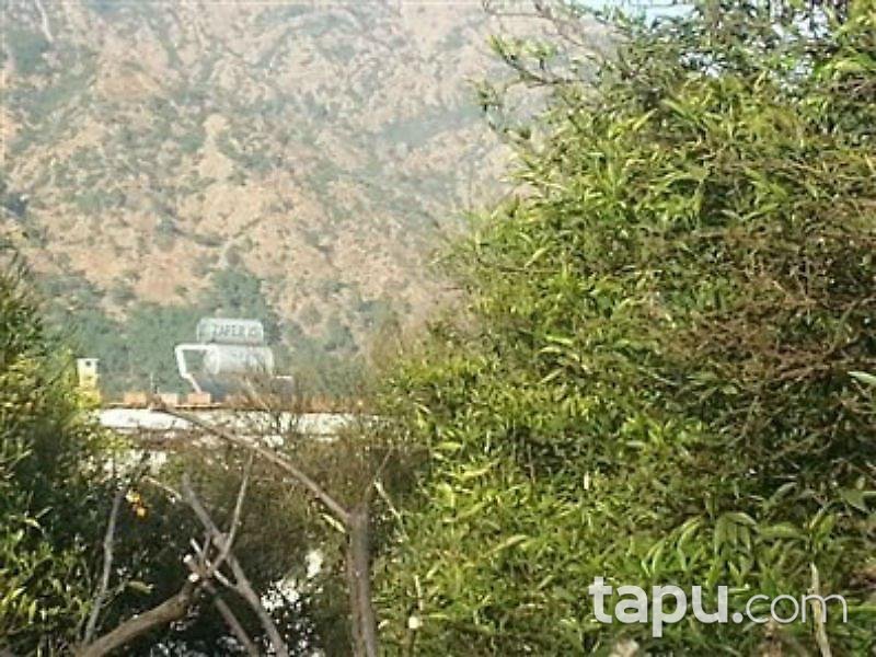 Muğla Köyceğiz'de 2 Dönüm Arsa İçinde Taş Ev