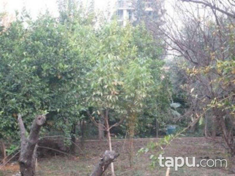 Adana İmamoğlu'da İmarlı Arsa
