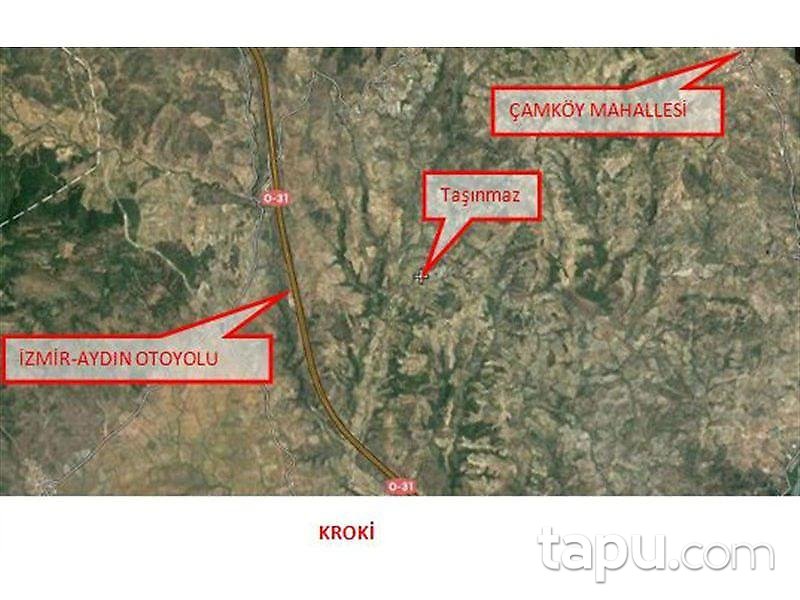 Aydın Germencik'te Otobana Yakın Zeytinlik