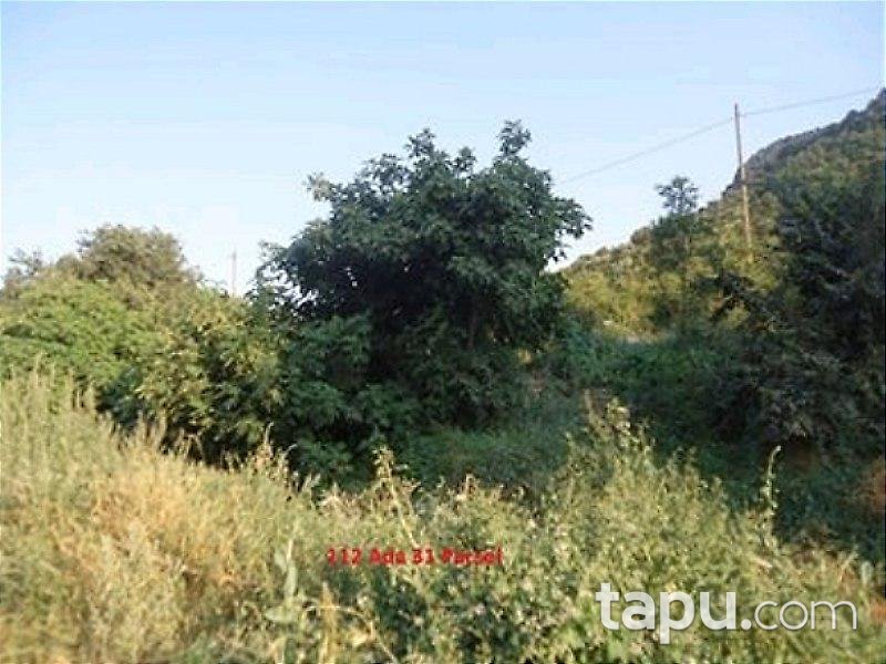 Bilecik Söğüt'te Arsa 250 m²