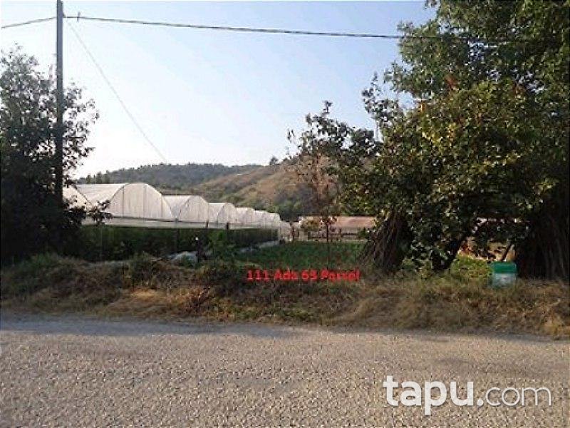 Bilecik Söğüt'te Arsa 815m²