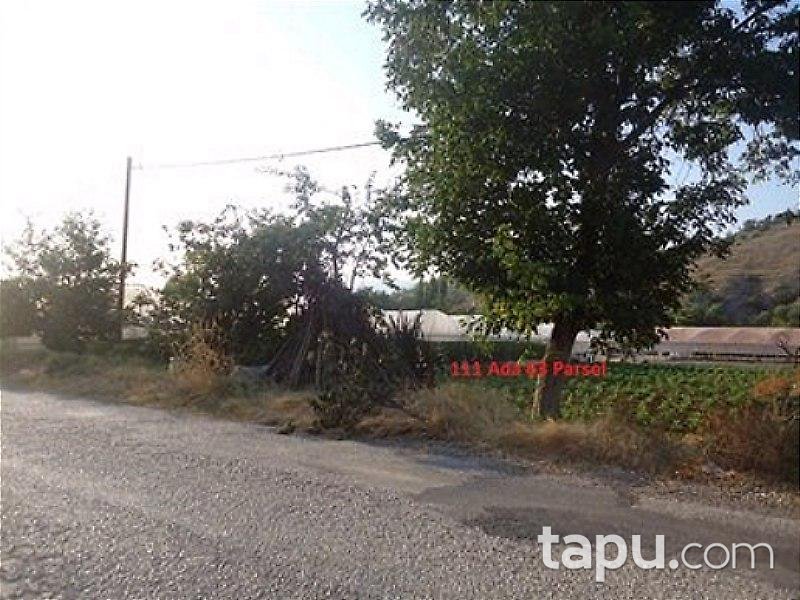 Bilecik Söğüt'te Arsa 815m²