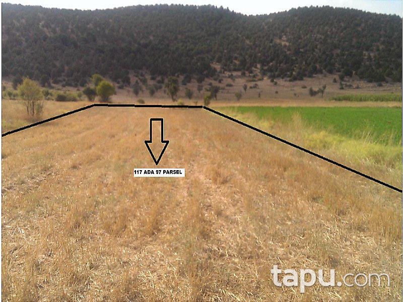 Muğla Seydikemer'de 4 Adet Ayrı Parsel Tarla