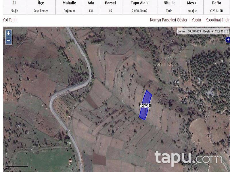 Muğla Seydikemer'de 4 Adet Ayrı Parsel Tarla