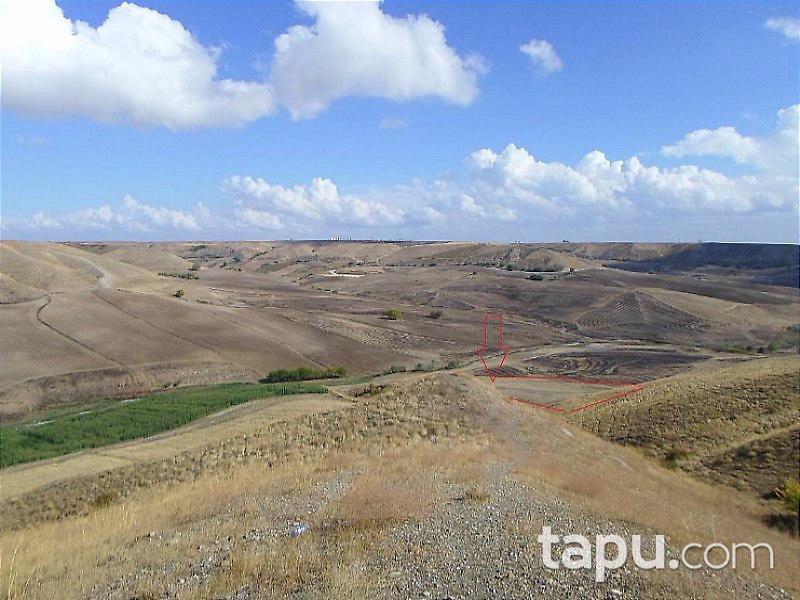 Adıyaman Kahta'da Bağ Ve Tarla