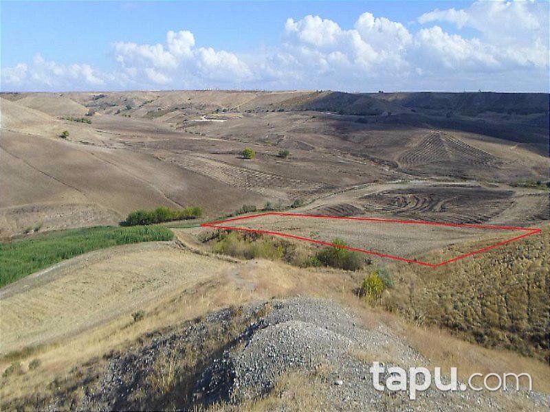 Adıyaman Kahta'da Bağ Ve Tarla