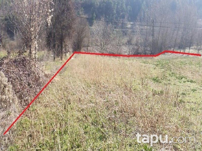 Bolu Mudurnu'da Tarla