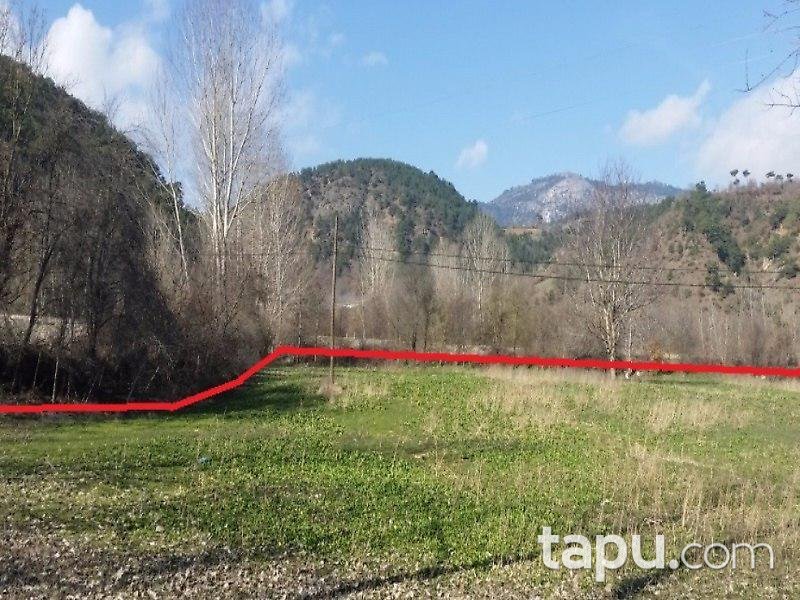 Bolu Mudurnu'da Tarla