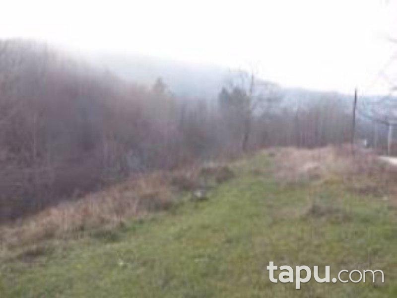 Bursa İnegöl Mezit'de 2882m² Tarla