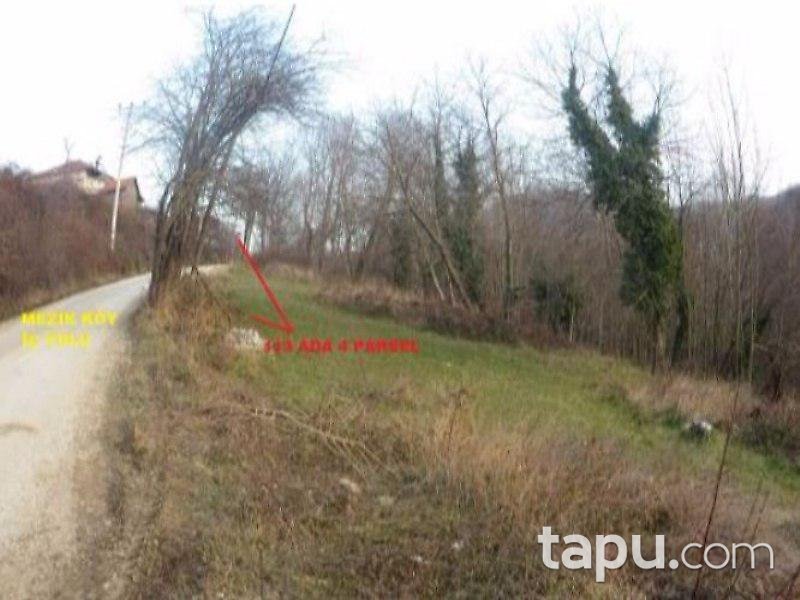 Bursa İnegöl Mezit'de 2882m² Tarla