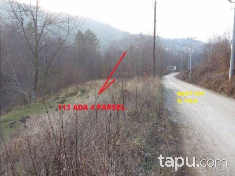 Bursa İnegöl Mezit'de 2882m² Tarla