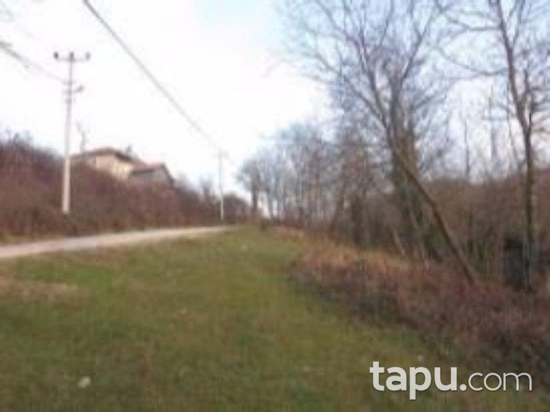Bursa İnegöl Mezit'de 2882m² Tarla