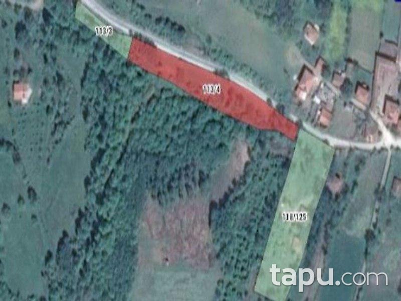 Bursa İnegöl Mezit'de 2882m² Tarla