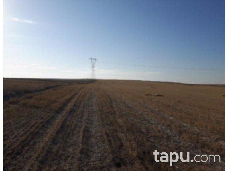 Eskişehir Sivrihisar Aşağıkepen Mahallesi'nde 78.580 m2 Tarla
