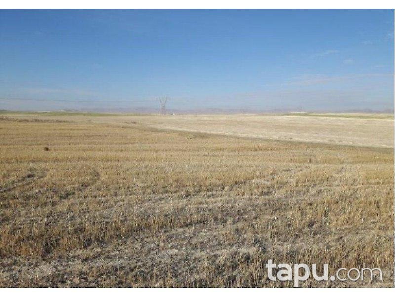 Eskişehir Sivrihisar Aşağıkepen Mahallesi'nde 78.580 m2 Tarla