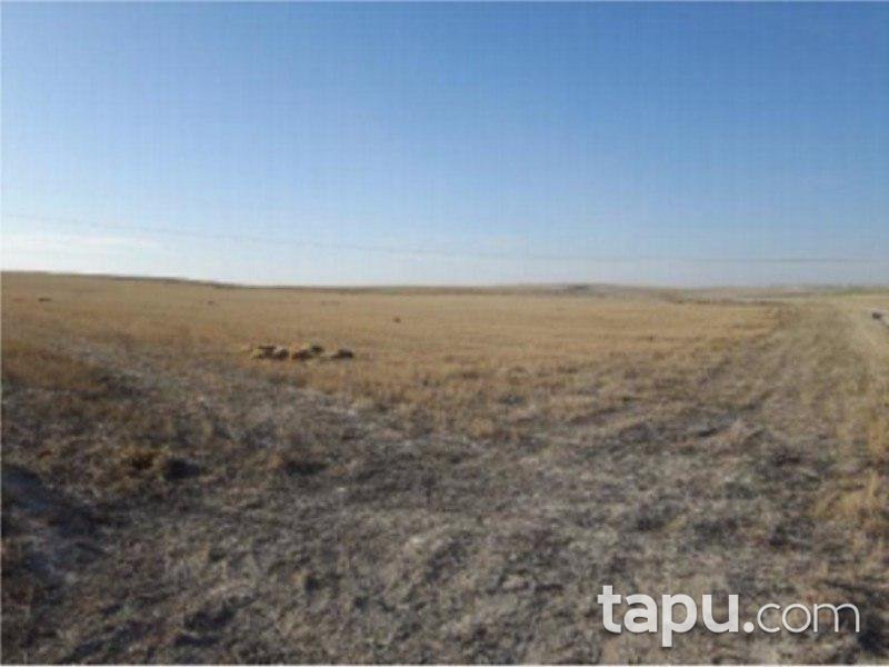 Eskişehir Sivrihisar Aşağıkepen Mahallesi'nde 78.580 m2 Tarla