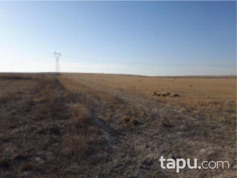 Eskişehir Sivrihisar Aşağıkepen Mahallesi'nde 78.580 m2 Tarla