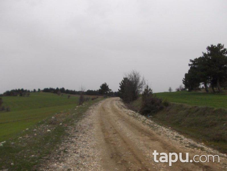 Kastamonu Merkez'de 10 Adet Tarla