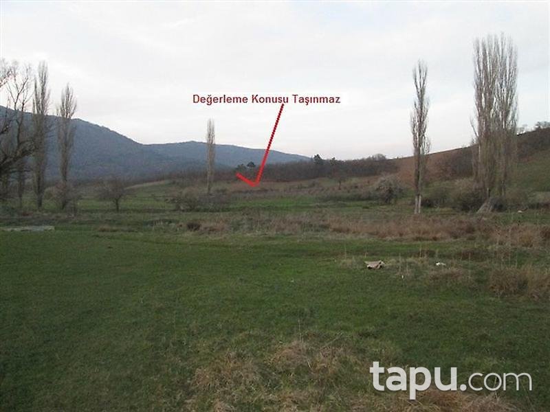 Bilecik Osmaneli'de 7205 m2 Tarla