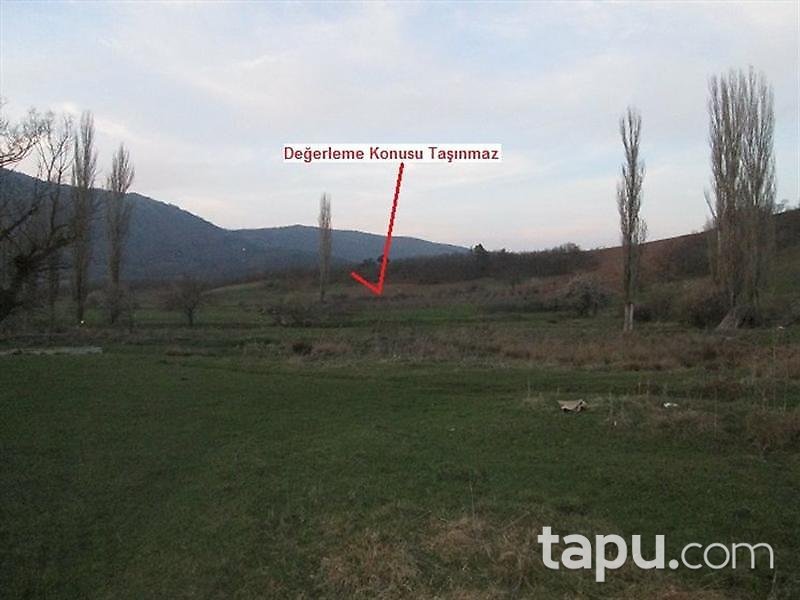 Bilecik Osmaneli'de 7205 m2 Tarla