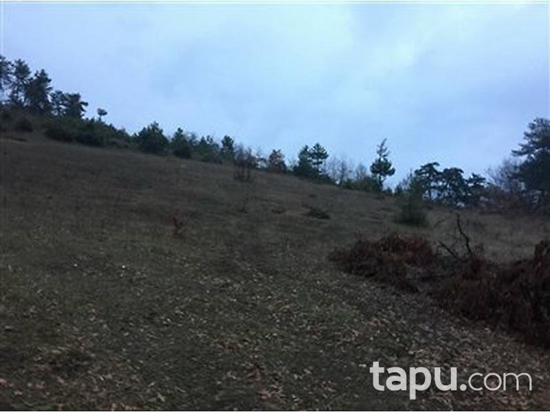 Bilecik Osmaneli Hisarcık'ta 4314 m2 Tarla