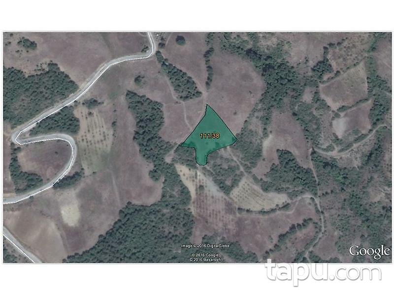 Bilecik Osmaneli Hisarcık'ta 4314 m2 Tarla