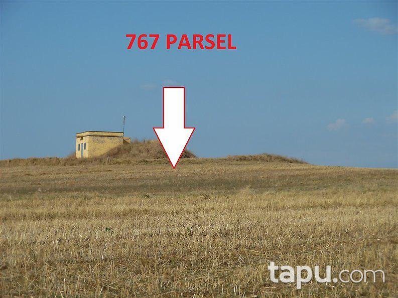 Edirne Uzunköprü Salarlı'da 3000 m2 Tarla