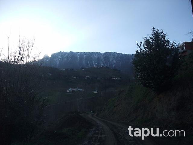 Trabzon Akçaabat'ta 2704m2 Tarla
