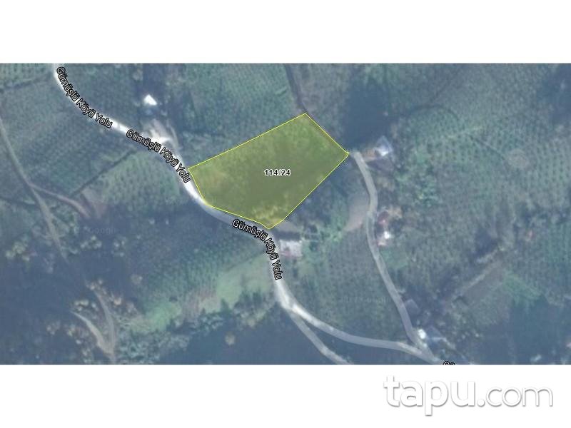 Trabzon Akçaabat'ta 5238m2 Tarla