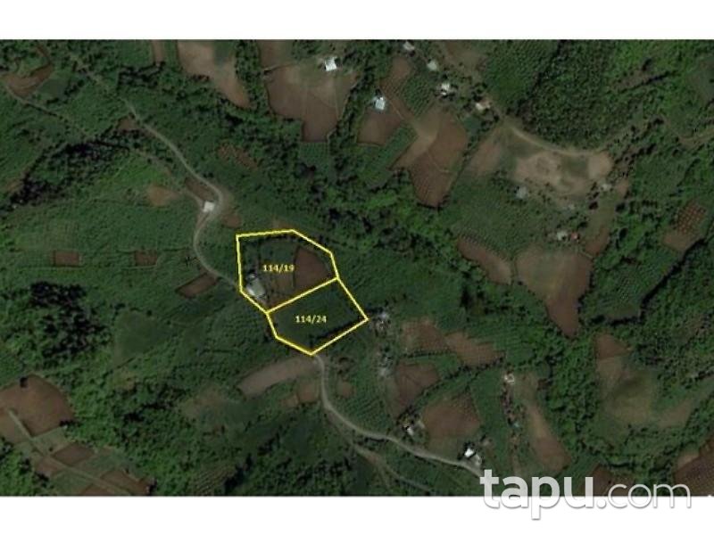 Trabzon Akçaabat'ta 5238m2 Tarla