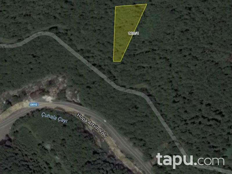 Artvin Borçka'da 4987 m2 3 adet Fındık Bahçesi