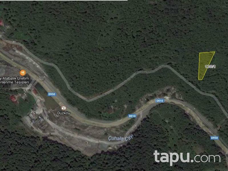 Artvin Borçka'da 4987 m2 3 adet Fındık Bahçesi