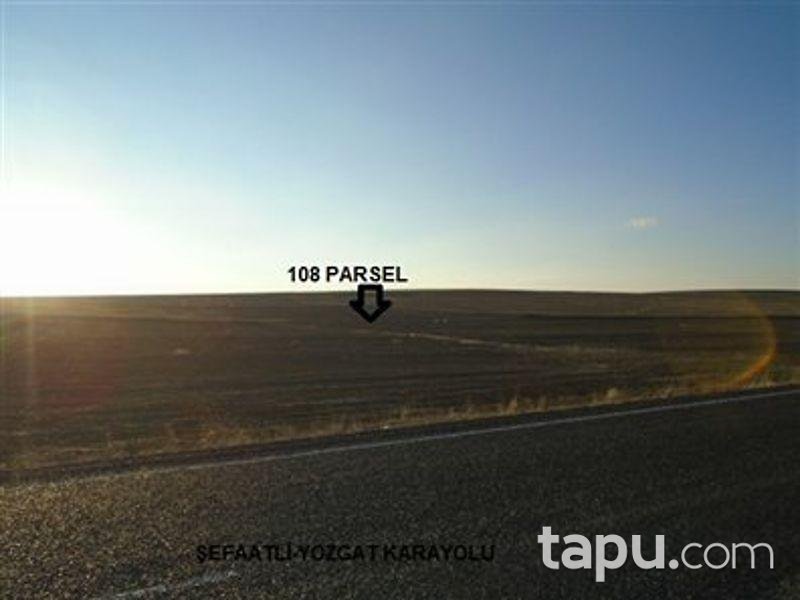 Yozgat Şefaatli Kabacıoğlu'nda 8100 m2 Tarla