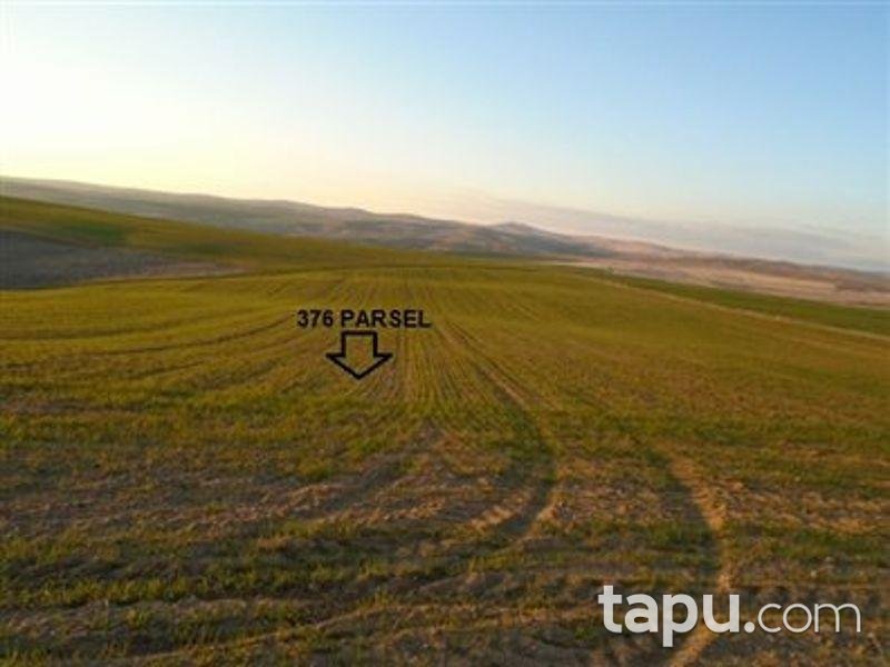 Yozgat Şefaatli Kabacıoğlu'nda 8100 m2 Tarla