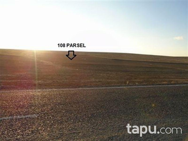 Yozgat Şefaatli Kabacıoğlu'nda 8100 m2 Tarla