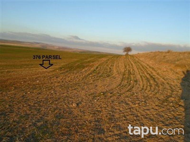 Yozgat Şefaatli Kabacıoğlu'nda 8100 m2 Tarla