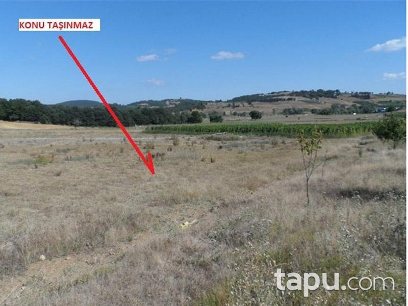 Bilecik Osmaneli'nde 8127m2 Tarla
