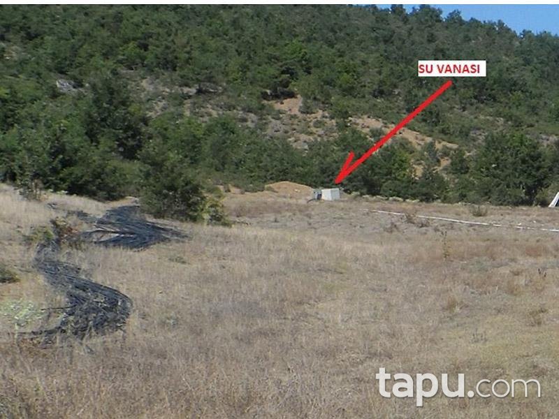Bilecik Osmaneli'nde 8127m2 Tarla