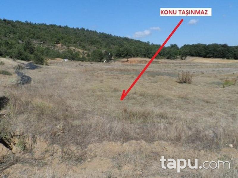 Bilecik Osmaneli'nde 8127m2 Tarla