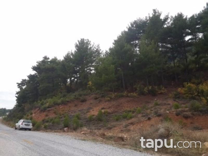 Muğla Menteşe Günlüce'de 5675 m2 Tarla