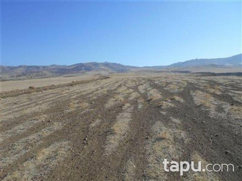 Ankara Kalecik'te 21.5000 m2 Tarla