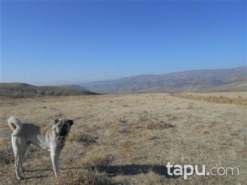 Ankara Kalecik'te 21.5000 m2 Tarla