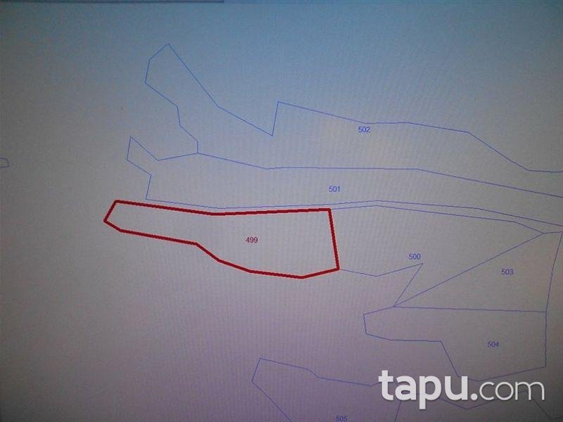 Ankara Kalecik'te 21.5000 m2 Tarla