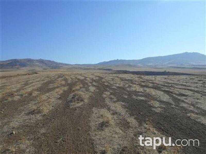 Ankara Kalecik'te 21.5000 m2 Tarla