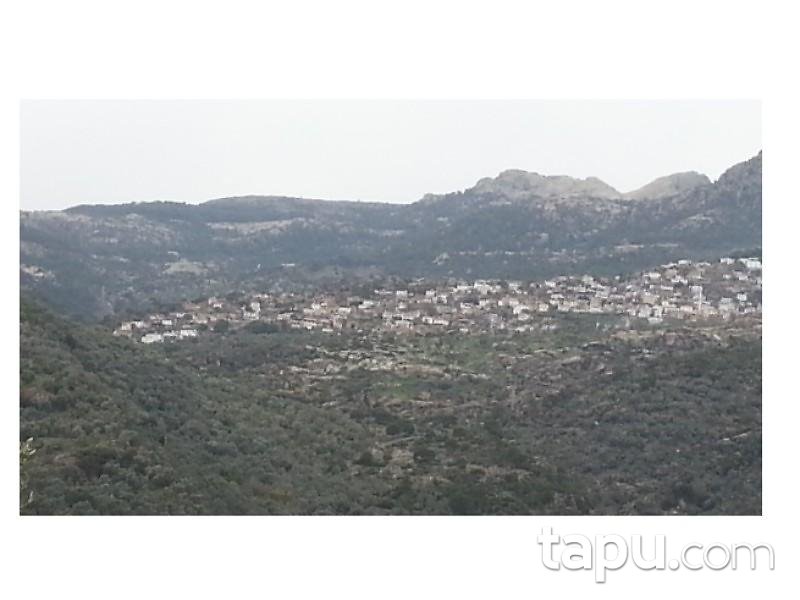Muğla Milas Sakarkaya'da 2 Adet Kargir Ev ve Arsası