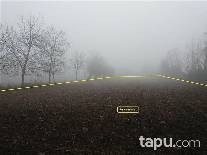 Düzce Gölyaka İmamlar'da 8000 m2 İki Adet Tarla