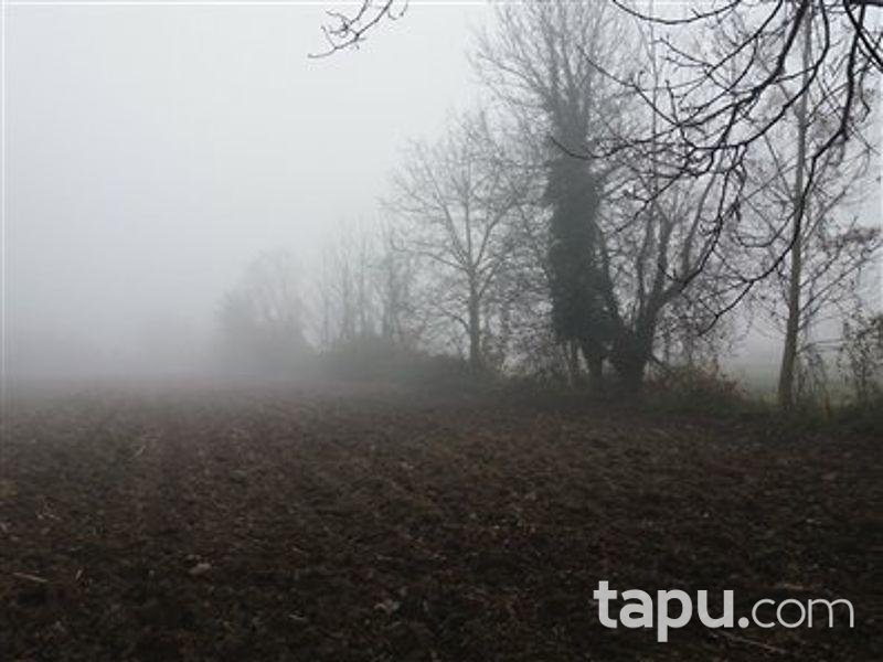 Düzce Gölyaka İmamlar'da 8000 m2 İki Adet Tarla