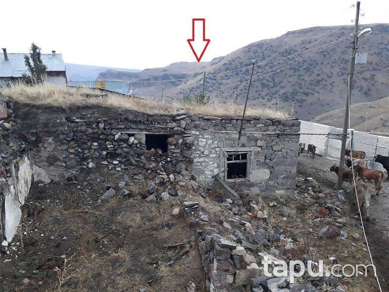 Erzurum Şenkaya Gezenek'de Tarla